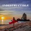Indestructible