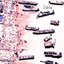 Flotilla