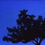 11:17 - Single