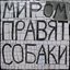 Первый альбом