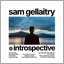INTROSPECTIVE - Single