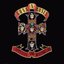 Appetite for Destruction