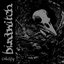 Calcify