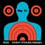 Rabbit Run (Interpol Remix)