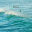 Ocean Drift
