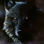 Аватар для AnnWolf