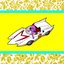 Racer X