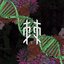 棘 - Single