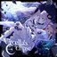 Viyella's Eclipse