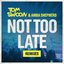 Not Too Late (Remixes)