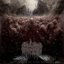 Elucidations On Flesh Paradoxes [Explicit]