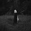 I Killed A North American Songbird - EP