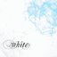 white TYPE B