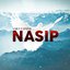 Nasip