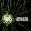 Into Oblivion [Explicit]