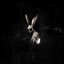 FOLLOW THE WHITE RABBIT