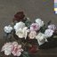 Power, Corruption And Lies