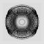 Sycomore