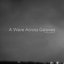 A Wave Across Galaxies