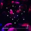 Synesthesia 4.0