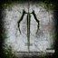 Infecting The Scars