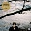 Canciones sobre traiciones y mentiras