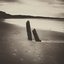 The Shape of Becoming