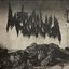 Carbonized Isolation