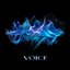 VOICE