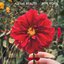 All The Beauty - Single