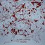 Hound EP