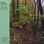 Relaxing Forest Rain
