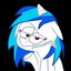 DJPON333