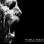 Velvet Nightmares and Cold Sleep