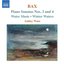 Bax: Piano Works, Vol. 2
