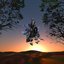 Vibington - Single