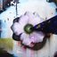 TEEBS CD 09