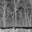 Sunshine and Balance Beams [Explicit]