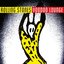 Voodoo Lounge (2009 Remaster)