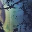 Petals Have Fallen - Single