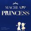 マチアプリンセス (feat. 雨衣 & 玉姫)