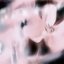 Petrichor (Live)