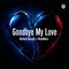 Goodbye My Love - Single