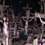 LONG LIVE THE OLD DEAD GODS