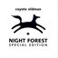 Night Forest