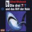 Das Riff der Haie