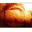 Selected Ambient Works Volume II (Disc I)