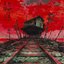 the last stop