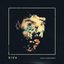 Miracle (Human Error) - Single