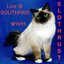 LIVE @ SOUTHPAW